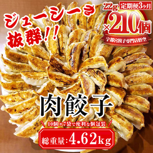 【3ヶ月定期便】餃子専門店 宇都宮 悟空 肉餃子 22g×70個入×3ヶ月| 餃子 冷凍 ぎょうざ ギョーザ 大容量 肉たっぷり 肉多め 人気 名物 行列 国産野菜 国産豚肉 ジューシー スタミナ パリパリ もちもち グルメ おかず おつまみ 栃木県 簡単 小分け 冷凍食品 ※離島への配送不可