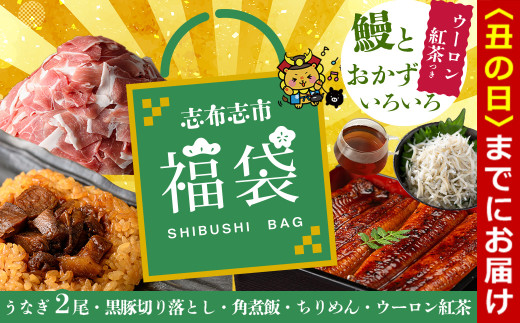 【丑の日までに配送】志布志市福袋！鰻とおかずいろいろセット(霧島湧水鰻2尾＆釜揚げちりめん＆黒豚ウデ切り落とし＆ウーロン紅茶＆角煮飯) ウナギ 蒲焼 2尾 バラエティ お楽しみ b8-041-us