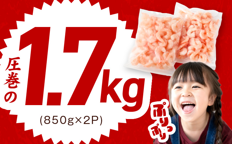 むきえび 総量 1.7kg 特大5Lサイズ【下処理不要 小分け 850g×2P 訳あり サイズ不揃い バナメイエビ バラ凍結】 G1823
