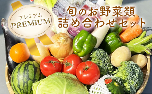 【プレミアム】野菜・果物・きのこ詰め合わせ 7〜10品目 / 野菜 やさい 果物 くだもの フルーツ ふるーつ きのこ 旬 新鮮 セット / 諫早市 / 松尾農園 [AHAY004]