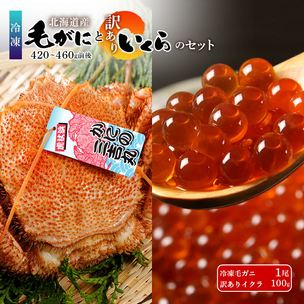 【ふるさと納税】毛ガニ 冷凍 1尾 (420-460g前後)・ 訳あり イクラ 100g セット毛がに 毛ガニ 毛蟹 ケガニ 毛かに 毛カニ 蟹 カニ イクラ いくら 北海道ふるさと納税 白老 ふるさと納税 北海道 AS169