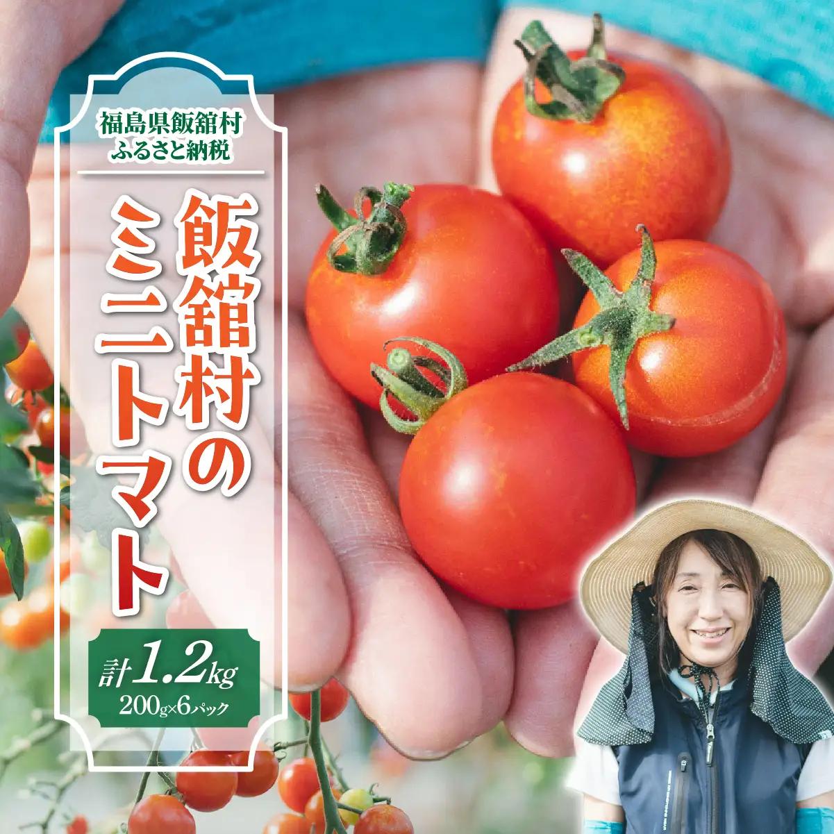 【8月中旬以降発送】飯舘村のミニトマト ITTAO001 | トマト