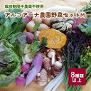 【ふるさと納税】【2024年7月中旬～発送】 アルコアーナ農園 野菜 セット （栽培期間中農薬不使用） Mサイズ 山形県 上山市 0148-2403