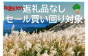 【ふるさと納税】【買い回り対象】河内長野市を応援してください！　大阪府河内長野市　応援寄付金　1000円　ふるさと納税（謝礼品なし）