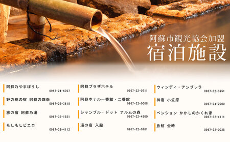 【30,000円分】阿蘇市観光協会加盟施設で使用できる宿泊補助券【旅行】
