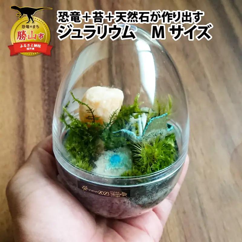 恐竜 ジュラリウム Mサイズ 苔 テラリウム 恐竜