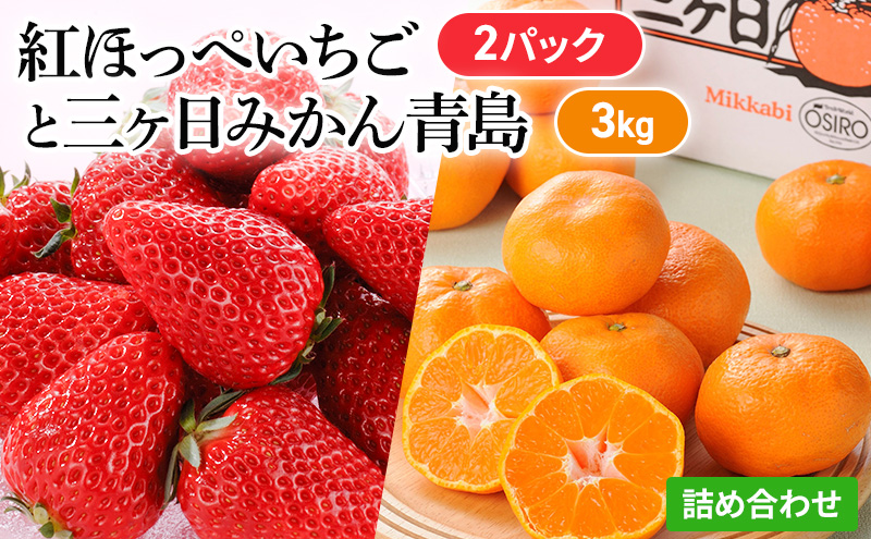 【2026年1月中旬より順次発送】紅ほっぺいちご 2パックと三ヶ日みかん青島 3kg 詰合せ【配送不可：離島】 