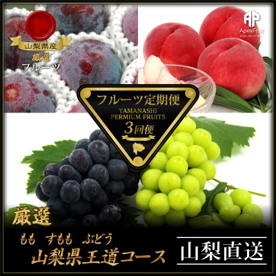 
                  ＜発送月固定定期便＞フルーツ定期便全3回【4066756】
                