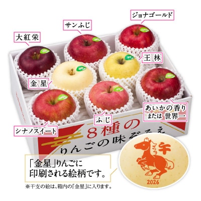 りんご/青森県産　彩り8種のりんご詰合せ(干支りんご入り)【配送不可地域：離島】