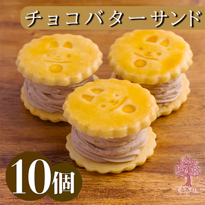 ケーキハウスくるみの里の生チョコバターサンド 10個入り TF0644-P00010