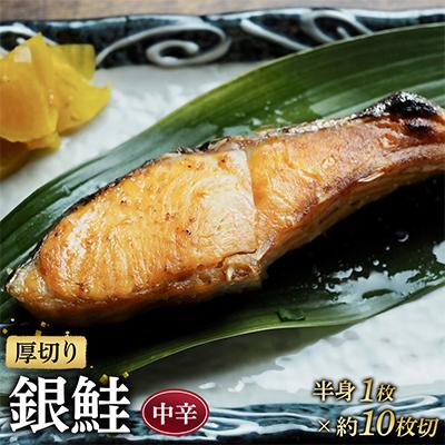 ふるさと納税 小田原市 【定塩中辛】厚切り銀鮭 約10切 銀シャケ半身1枚分【神奈川県小田原市早川】