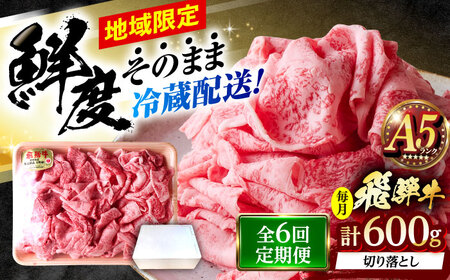 【6回定期便】 ※冷蔵配送/地域限定※ 飛騨牛 切落し (ロースまたは肩ロース) 600g 瑞浪市 / きなぁた瑞浪&nbsp;和牛 国産 岐阜県産[AZCI078]
