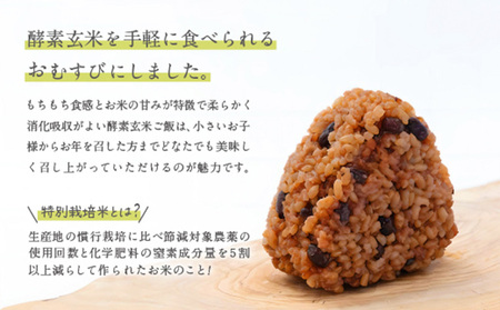 冷凍 酵素玄米おむすび(つや姫) 10個セット FY25-270