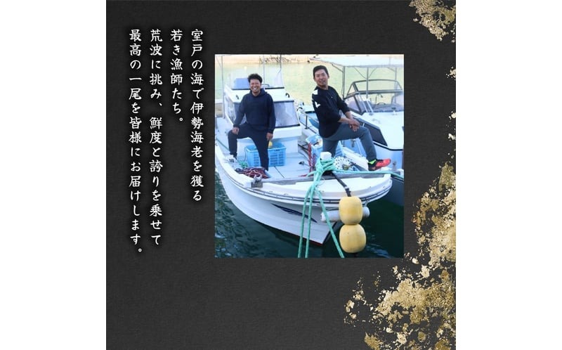 活 伊勢海老 訳あり 2kg(5尾～7尾＋タビエビ) 冷蔵 – 活き伊勢海老 訳あり 室戸産 国産 エビ えび 海鮮 魚介 産地直送 プリプリ 味噌汁 刺身 焼き物 汁物 室戸海洋深層水 黒潮 高知県