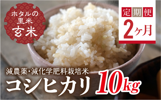 
                   ＜定期便2ヶ月＞ 令和8年産米【ホタルの里米】環境に配慮し農薬を減らした栽培米 コシヒカリ玄米10kg  F4D-2304
                