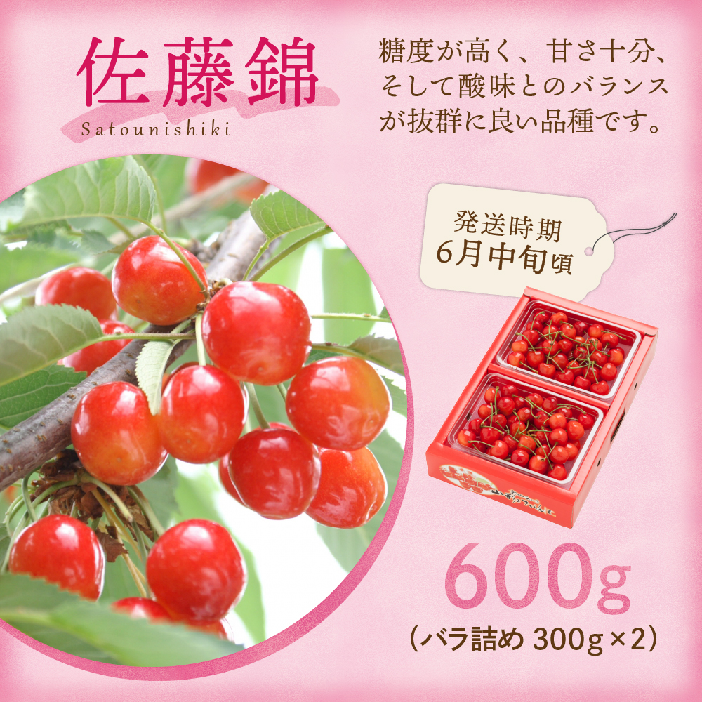 【先行予約】 令和8年産 旬のフルーツ 4回 定期便 さくらんぼ 佐藤錦 ぶどう デラウェア りんご 秋陽 西洋梨 ラ・フランス