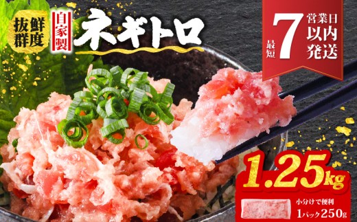 ネギトロ 1.25kg (250g×5パック) 冷凍 小分け | 手作り まぐろ 鮪 手詰め ネギトロ ねぎとろ まぐろたたき まぐろのたたき マグロたたき ネギとろ ねぎトロ maguro 愛媛県 松山市