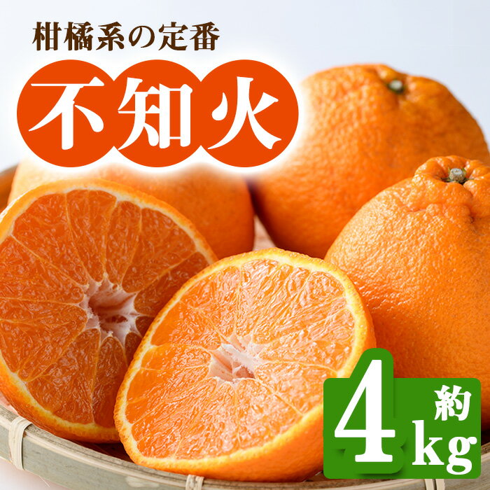 【ふるさと納税】＜先行予約！2027年2月下旬以降順次発送予定＞香川県産 不知火(約4kg) しらぬい 不知火 柑橘 フルーツ 産地直送 新鮮 香川 香川県 特産 果物 ふるーつ 旬 人気 お取り寄せ 【man093】【Aglio nero】