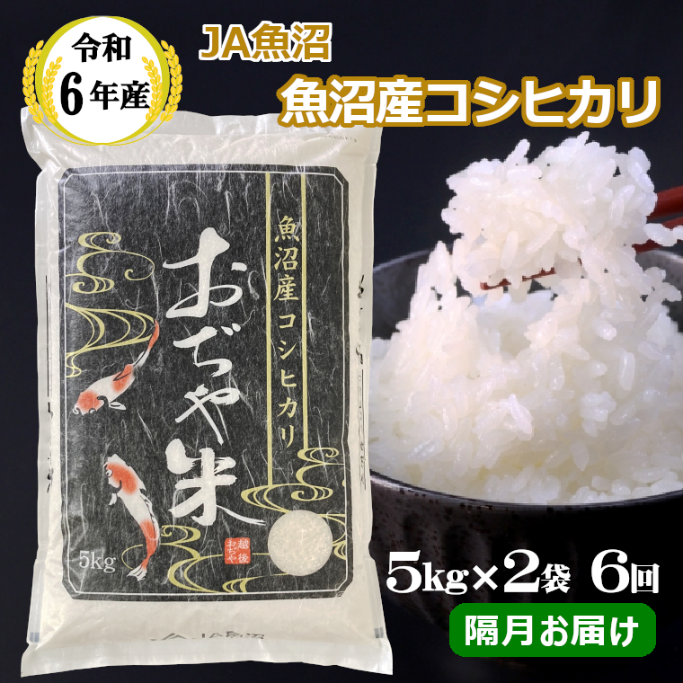 JA162P431 令和6年産魚沼産コシヒカリ定期便 5kg2袋×6回（隔月お届け）（JA魚沼）白米 魚沼 米 定期便