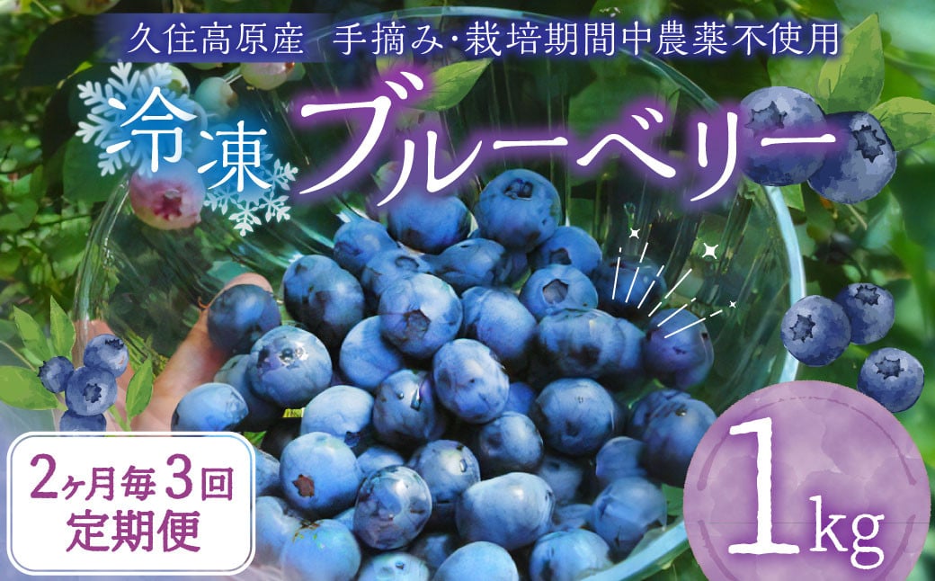 【2ヶ月毎3回 定期便】大分県久住高原産 『手摘みブルーベリー』 冷凍ブルーベリー 1kg 計3kg 【2025年7月下旬より順次発送開始予定】
