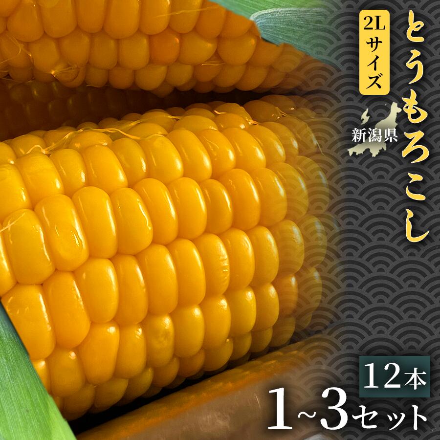 【ふるさと納税】【令和8年産先行予約】とうもろこし 12本 2Lサイズ 選べるセット数 | とうもろこし スイートコーン 野菜 やさい 自然の甘み 極甘スイートコーン フルーツとうもろこし 子どもが喜ぶ 旬の味覚 BBQ用 おすすめ お取り寄せ 産地直送 新潟県 津南町