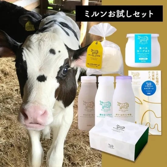 
            【セット】ミルンお試しセット(200mlドリンク3本（牛乳、ミルクコーヒー、飲むヨーグルト各1本ずつ)+食べるヨーグルト260g+モッツァレラチーズ1個+さけるチーズ1本）【ギフトボックス入り】
          