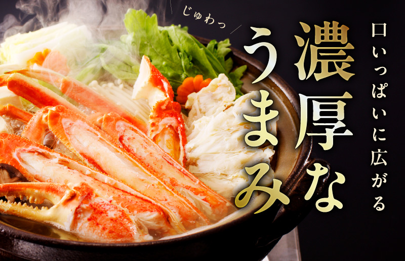 【年内発送】カニ ボイルズワイ蟹 800g（400g×2肩）約2-3人前 昆布仕立て kgp0062y