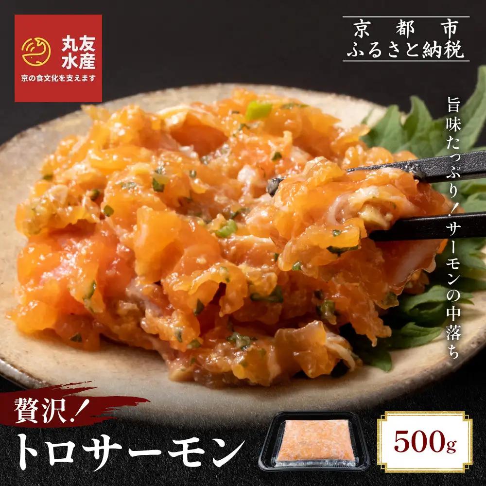 トロサーモン 500g ノルウェー産 サーモン