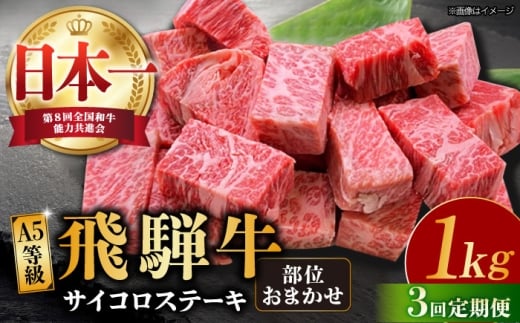 【3回定期便】【 飛騨牛】A5等級 サイコロステーキ 部位おまかせ 1kg 和牛 ブランド牛 国産 牛肉 多治見市 / 渡辺精肉店 [TAZ043]