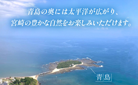 宮崎市ヘリコプター遊覧チケット（青島コース）　※田野離発着 観光 遊覧 ヘリ 体験