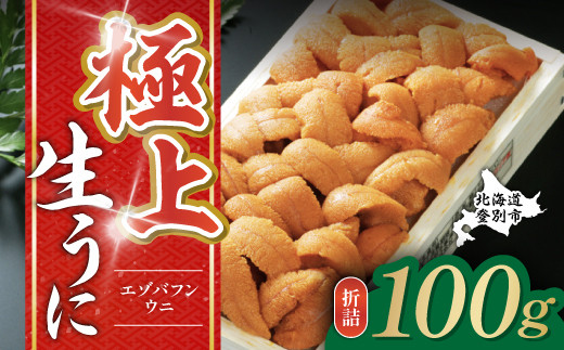 極上エゾバフンウニ 折詰 100g 配送期間B：10月下旬～11月下旬迄 高級 うに ウニ 雲丹 生ウニ バフンウニ 折り詰め ふるさと納税 北海道 登別市