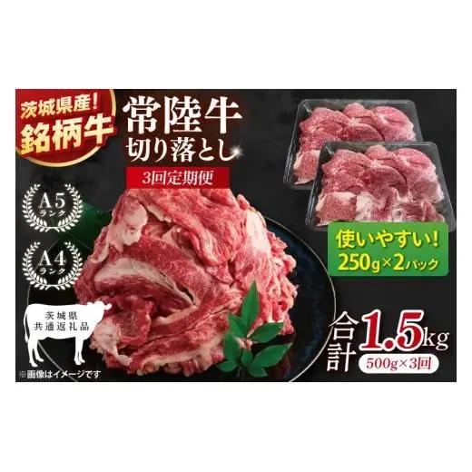 【茨城県共通返礼品】【3ヶ月定期便】常陸牛切り落とし 500g（250g×2）【黒毛和牛 国産 銘柄牛 牛肉 肉 冷凍 茨城県産】(81-19)