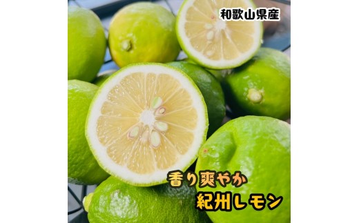 農家直送 紀州 レモン 約1kg［MS154］