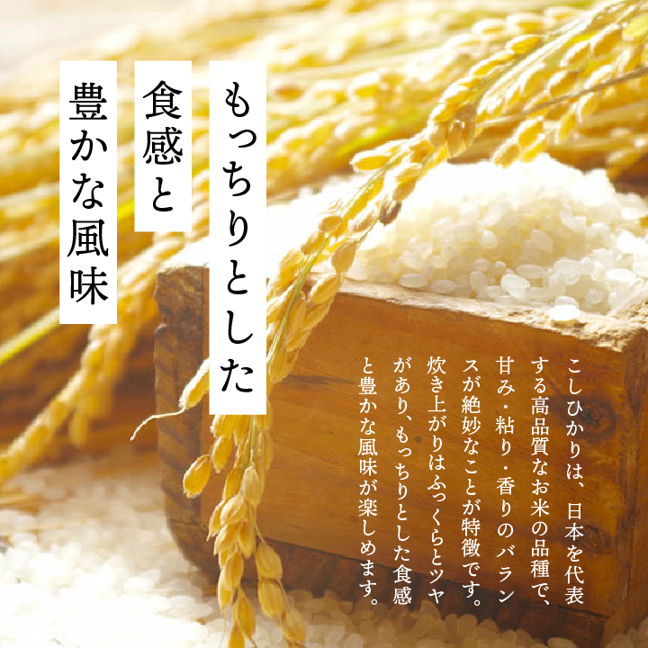 《新米先行予約》令和8年産 新米 食べ比べ セット 10kg こしひかり ひとめぼれ（各5kg）株式会社あだたら米 二本松市