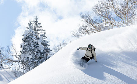 【VECTOR GLIDE】スノーボード VARIOUS 154cm ボード ウィンタースポーツ スポーツ 日本製 長野