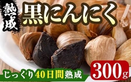 香川県産 熟成 黒にんにく(300g) 国産 国内産 香川県産 にんにく ニンニク ガーリック 薬味 食品 野菜 【man046】【Aglio nero】