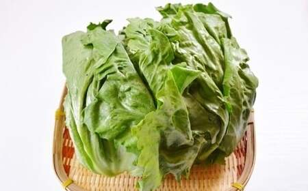 季節の野菜詰合せ 本庄産 旬 野菜 セット 詰合せ ご当地 生鮮品 食品 関東  F5K-108