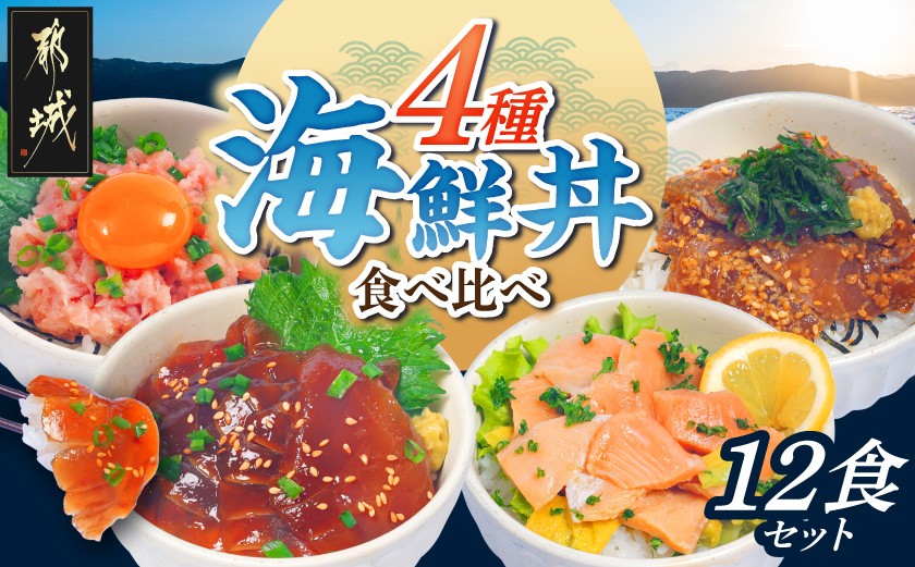 
                  彩り豊かな海鮮丼食べ比べ12食セット_19E-M3-001-12_(都城市) ねぎとろ まぐろ漬け丼 真鯛ごま漬け丼 サーモンポキ丼 海鮮丼 食べ比べ
                