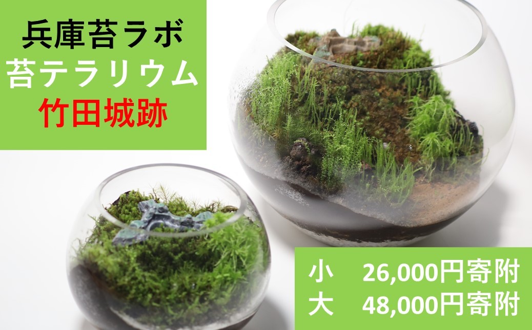 
            丸型テラリウム 選べるサイズ【小（直径15cm）or大（直径22cm）】天空の城 「竹田城跡」をイメージした苔テラリウム
          