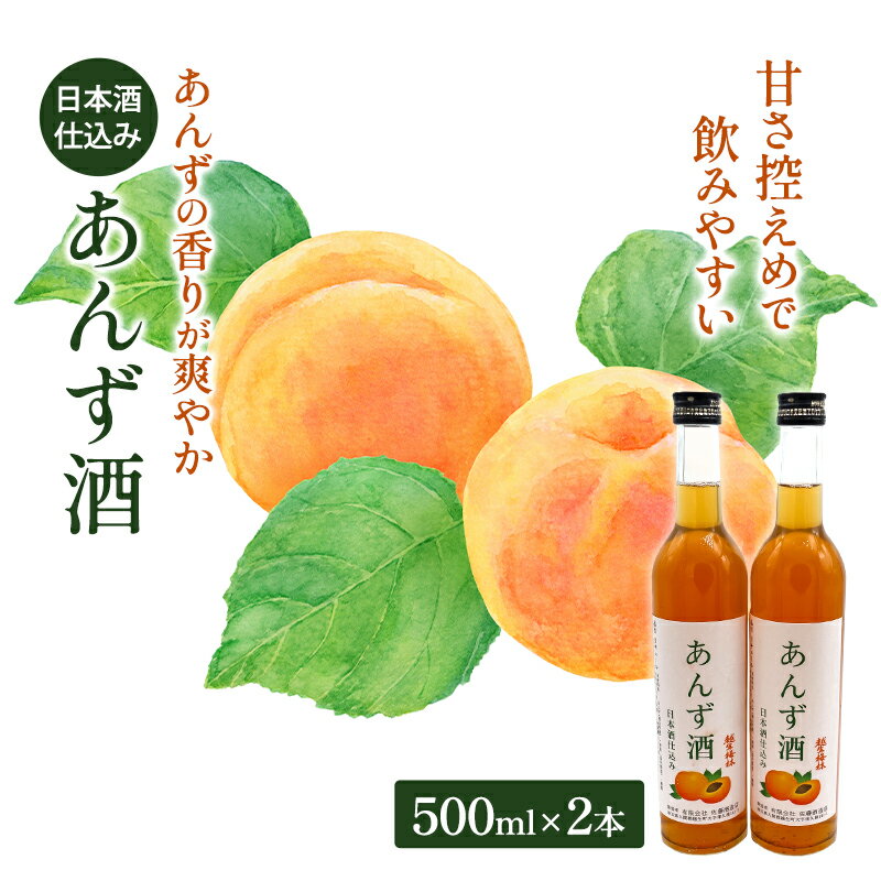 【ふるさと納税】あんず酒2本セット 果実酒 リキュール お酒 アルコール 日本酒仕込み フルーティー 酸味 香り 甘さ控えめ 後味すっきり 食事 リフレッシュ 鳩山町