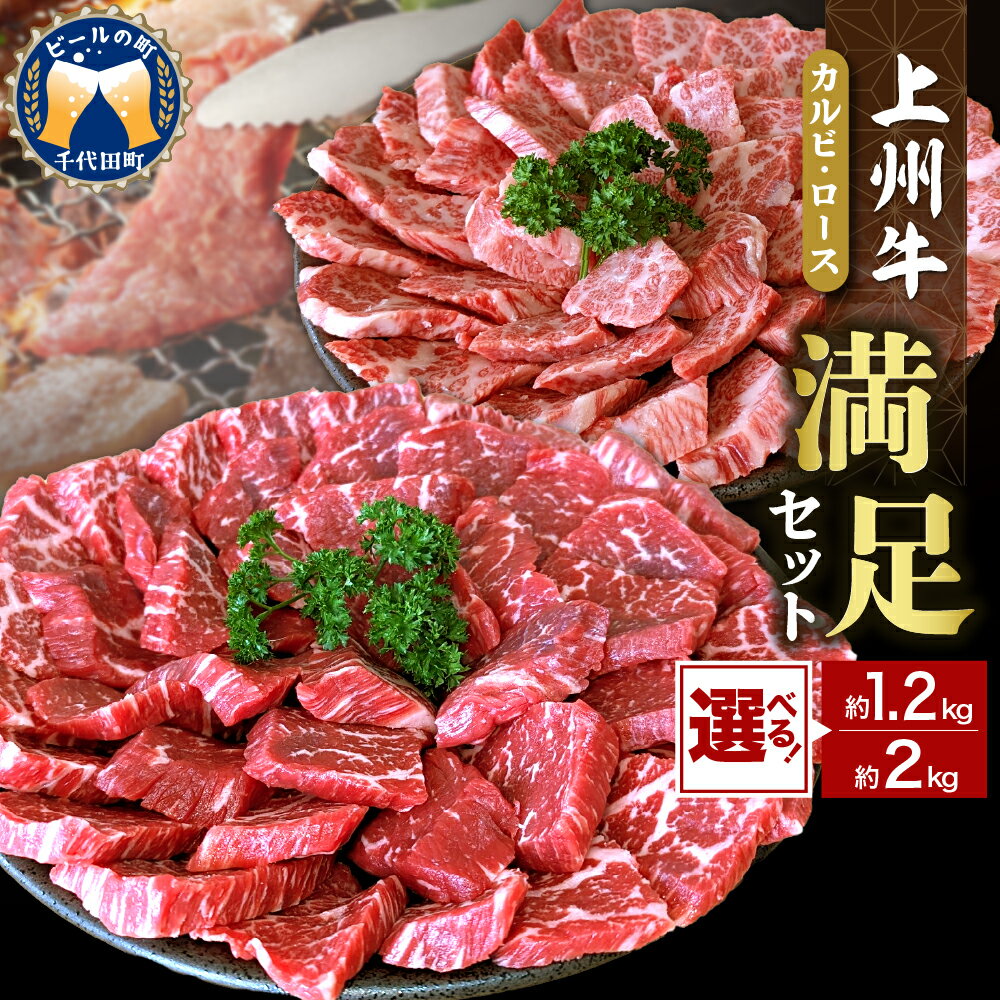【ふるさと納税】 牛肉 カルビ ロース 焼肉 満足 セット 【 上州牛 】選べる内容量 1.2kg / 2kg 500g × 4 600 × 2 国産 和牛 和牛肉 ブランド牛 精肉 お肉 焼肉 バーベキュー BBQ キャンプ アウトドア 食べ比べ 冷凍便 お取り寄せ グルメ 群馬 県 千代田町