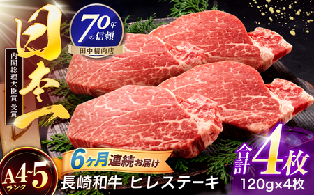【6回定期便】ヒレステーキ 牛肉ヒレ 牛肉ステーキ 120g×4枚 [OCA067]