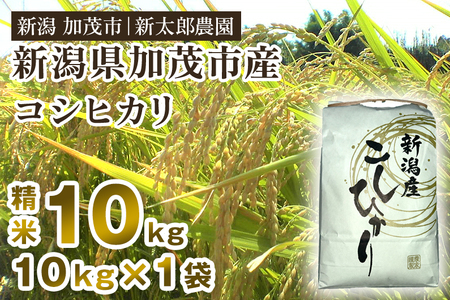 【令和6年産新米先行予約】新潟産コシヒカリ 精米 10kg（10kg×1袋）コシヒカリ 新潟産 米 お米 白米 有機肥料で育ったこだわり米 加茂市 新太郎農園 コシヒカリ 新潟県産コシヒカリ 米 お米コシヒカリ コシヒカリ コシヒカリ コシヒカリ コシヒカリ