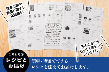 【期間限定】新鮮・愛情たっぷり果物＆野菜セット 6～12品目【野菜 果物 野菜セット フルーツ 旬  新鮮 詰め合わせ 採れたて 厳選 産地直送】SP-1