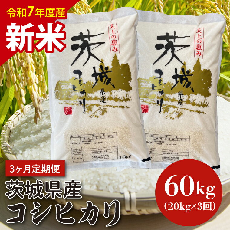 【ふるさと納税】【数量限定】【3ヵ月定期便】【令和7年度産　新米】茨城県産コシヒカリ 20kg×3 【定期便 お米 ごはん こしひかり 老舗 米屋 おにぎり ごはん 茨城県 水戸市 60キロ】(HQ-206)