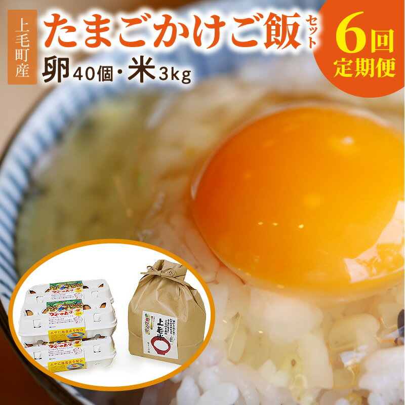 【ふるさと納税】定期便 上毛町産 たまごかけご飯 セット 卵 40個 米 3kg 専用醤油なし版 6回 毎月コース 放し飼い かぐやひめ 磯田さんが作った 精米 白米 ご飯 卵かけ お弁当 お取り寄せ 福岡県 上毛町 送料無料