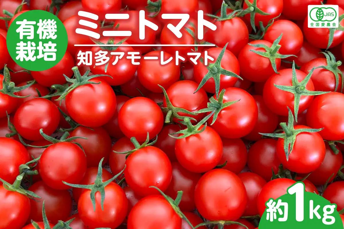 【7月から順次発送】有機栽培ミニトマト　知多アモーレトマト　約1kg