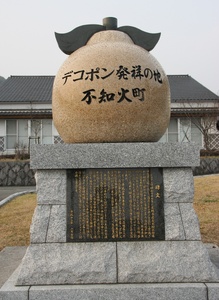 先行予約 不知火 5kg 2025年2月上旬から4月下旬発送予定 しらぬい ひかる農園