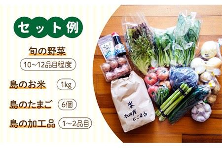 壱岐産 食材詰め合わせ 野菜   《壱岐市》【壱岐イルカパーク＆リゾート】[JBF009] 20000 20000円 2万円 コダワリ野菜 こだわり野菜 おすすめ野菜 おススメ野菜 人気野菜 定番野菜