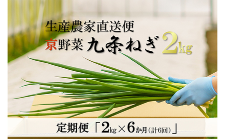 【6か月定期便】生産農家直送 京野菜・九条ねぎ2kg〈ねぎ 野菜 京都